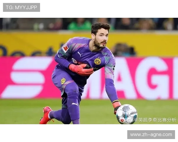 深入法甲球迷文化热血与忠诚在看台延续