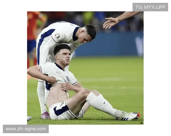 葡超球队在欧冠的表现