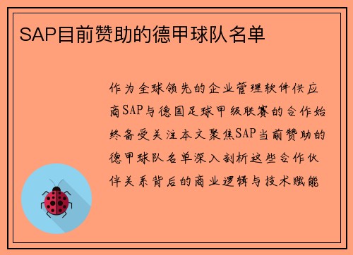 SAP目前赞助的德甲球队名单